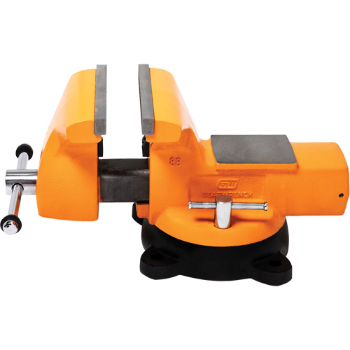 Mechanic's Bench Vise with Anvil, 8" Jaw Width We Share Industrial Supply