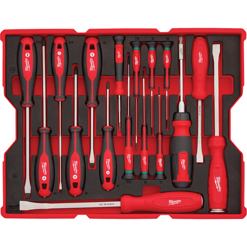 Jeu de tournevis et de leviers avec organisateur pour tiroirs PACKOUT, 17, Magn&eacute;tique We Share Industrial Supply