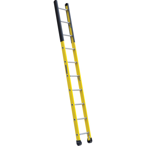&eacute;chelle &eacute;troite pour trou d'homme, 10', Fibre de verre, 375 lb, CSA calibre 1AA We Share Industrial Supply