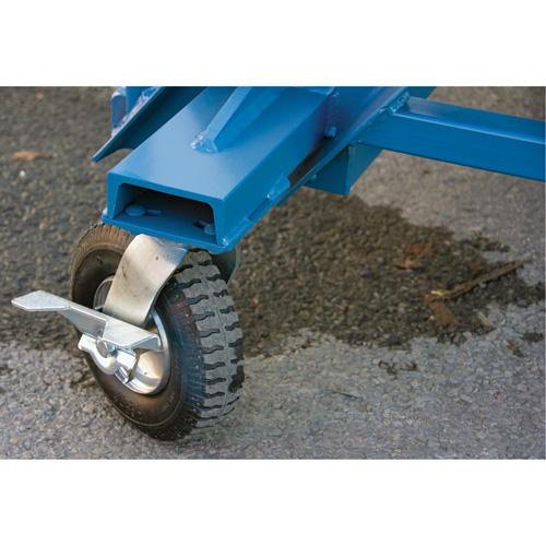 &eacute;chelle &agrave; neige, Acier, 10 Marches, 99" ha, 85-1/2" p, 48" Marche, Stri&eacute; We Share Industrial Supply
