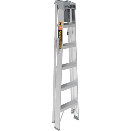 Step Ladder with Paint Tray, 6', Aluminum, 225 lbs. Capacity, Type 2 We Share Industrial Supply