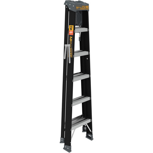 Step Ladder with Paint Tray, 6', Fibreglass, 250 lbs. Capacity, Type 1 We Share Industrial Supply