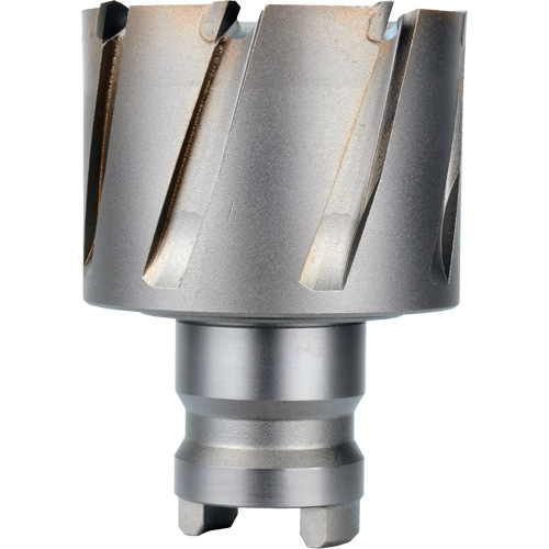 Fraise avec tenon &agrave; changement rapide Drive Hawg, Diam&egrave;tre de 2", Acier, Profondeur de la coupe de 1" We Share Industrial Supply