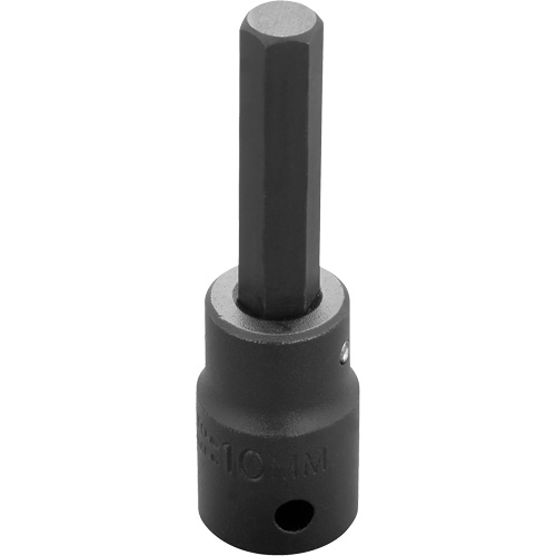 Embout &agrave; ins&eacute;rer, Hexagonale, 10 mm x 3-1/4" lo, Prise 1/2" We Share Industrial Supply