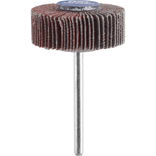 M&egrave;che de ponçage &agrave; roue &agrave; lamelles 3/8" - grain 120 We Share Industrial Supply