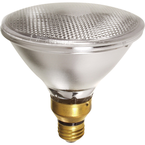 Gammes de lampes &eacute;conomiques We Share Industrial Supply
