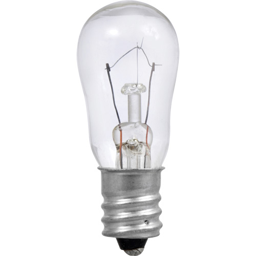 Ampoule incandescente S6 We Share Industrial Supply