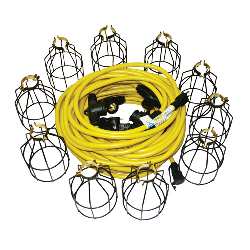 Guirlandes lumineuses &agrave; DEL, 10 Lumi&egrave;res, 100' lo, Boîtier en M&eacute;tal We Share Industrial Supply