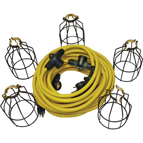 Guirlande &eacute;lectrique &agrave; DEL avec connecteur, 5 Lumi&egrave;res, 50' lo, Boîtier en M&eacute;tal We Share Industrial Supply