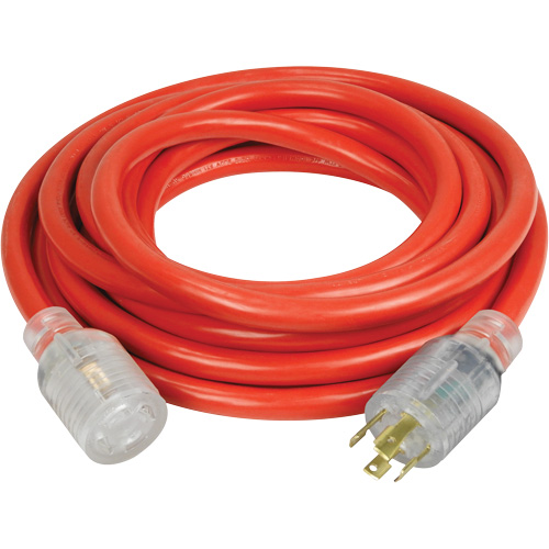Generator Extension Cord with Quad Tap, Outdoor, 10 AWG, 30 A, 4 Outlet(s), 25' We Share Industrial Supply
