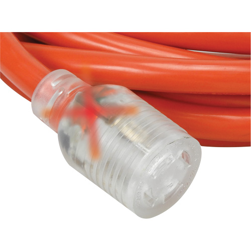 Generator Extension Cord with Quad Tap, Outdoor, 10 AWG, 30 A, 4 Outlet(s), 25' We Share Industrial Supply