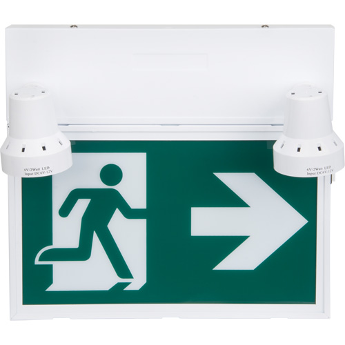 Enseigne d'homme qui court avec &eacute;clairage de s&eacute;curit&eacute;, DEL, &agrave; piles/&agrave; raccordement fixe, 12-1/10" lo x 11" la, Pictogramme We Share Industrial Supply