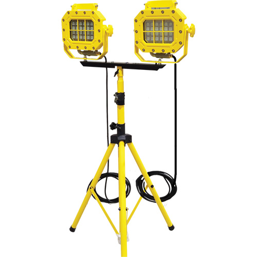 Diffuseur anti-d&eacute;flagration avec tr&eacute;pied, DEL, 40 W, 5600 lumens, Boîtier en Aluminium We Share Industrial Supply