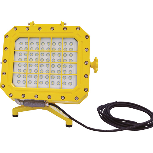 Diffuseur anti-d&eacute;flagration avec support pour plancher, DEL, 40 W, 5600 lumens, Boîtier en Aluminium We Share Industrial Supply