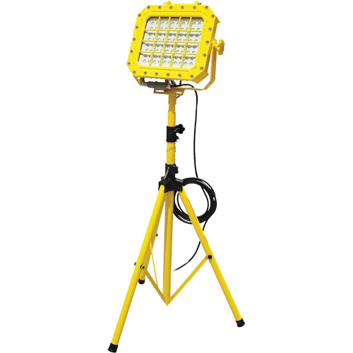 Explosion Proof Floodlight with Tripod, LED, 40 W, 5600 Lumens, Aluminum Housing We Share Industrial Supply