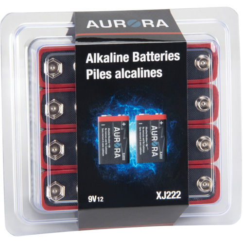 Piles alcalines industrielles, 9 V We Share Industrial Supply