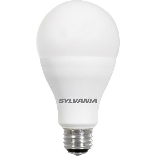 Lampe Ultra LED A-Line, 23 W, 2600 lumens, base Moyen We Share Industrial Supply