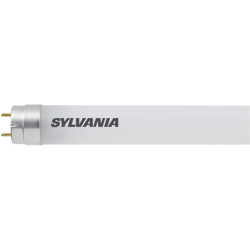 Light Bulb, T8, 12 W, 2100 Lumens, G13 Base We Share Industrial Supply