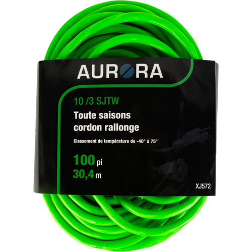 Cordon rallonge de calibre industriel, Toutes saisons, SJTW, AWG 10/3, 15 A, 100' We Share Industrial Supply