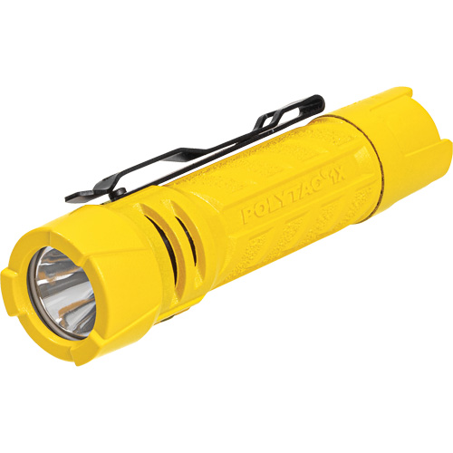 Lampe de poche PolyTac 1X, DEL, 350 lumens, Piles AA/CR123A We Share Industrial Supply