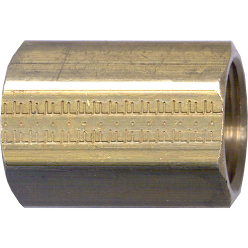 Raccord de tuyau, Laiton, 1/8" We Share Industrial Supply