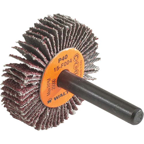 Disque &agrave; lamelles Coolcut, Oxyde d'aluminium, Grain 60, 1-1/2" x 3/8" x 1/4" We Share Industrial Supply