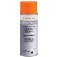 ZINC-100 Bright Galvanizing Spray, Aerosol Can We Share Industrial Supply