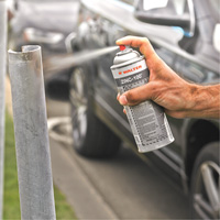 ZINC-100 Bright Galvanizing Spray, Aerosol Can We Share Industrial Supply