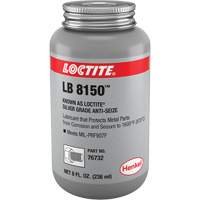 Silver Grade Anti-Seize, Brush Top Can, 1600°F (871°C) Max. Temp. We Share Industrial Supply