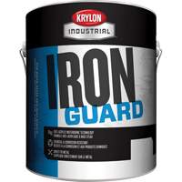&eacute;mail industriel &agrave; base d'eau Iron Guard, 3,78 L, Gallon, Rouge We Share Industrial Supply