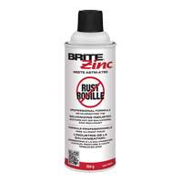 Inhibiteur de corrosion BRITE Zinc, Canette a&eacute;rosol We Share Industrial Supply