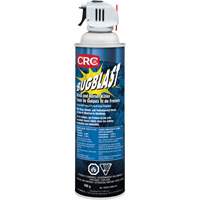 Insecticide Bug Blast, 397 g, &agrave; base de solvant We Share Industrial Supply