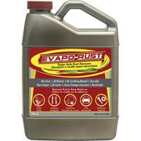 Agent antirouille super s&eacute;curitaire Evapo-Rust, Cruche We Share Industrial Supply