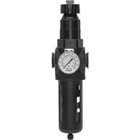 Filtre/r&eacute;gulateur Modulair 400 avec vidange manuelle, 3/4" NPT, 200 psi, Capacit&eacute; de 9,1 oz liq. We Share Industrial Supply