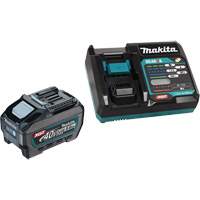 Trousse de batterie XGT 5 Ah et chargeur rapide We Share Industrial Supply