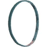 Scotch-Brite Surface Conditioning File Belts We Share Industrial Supply