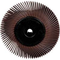 Brosses radiales bristle pour meuleuses d'&eacute;tabli, Grain 36X, 6" dia. We Share Industrial Supply