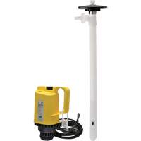 Pompes &agrave; tambour &eacute;lectriques, PVDF, 42 gal./min We Share Industrial Supply
