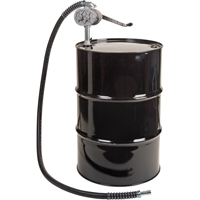 Pompe rotative &agrave; galets, Aluminium/Acier, Pour capacit&eacute; 55 gal., 1 litre par r&eacute;volution We Share Industrial Supply