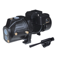 Pompe &agrave; jet en fonte &agrave; double tension transformable, 230 V, 920 gal./h, 1 CV We Share Industrial Supply
