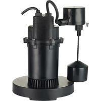 Pompe de puisard submersible thermoplastique, 2560 gal./h, 115 V, 4,6 A, 1/3 CV We Share Industrial Supply