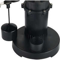Pompe de puisard submersible thermoplastique, 2560 gal./h, 115 V, 4,6 A, 1/3 CV We Share Industrial Supply