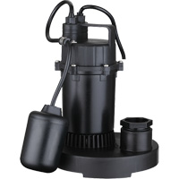 Pompe de puisard submersible thermoplastique, 2560 gal./h, 115 V, 4,6 A, 1/3 CV We Share Industrial Supply