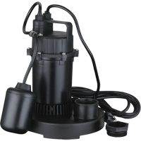 Pompe de puisard submersible thermoplastique, 2560 gal./h, 115 V, 4,6 A, 1/3 CV We Share Industrial Supply