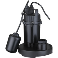 Pompe de puisard submersible thermoplastique, 2560 gal./h, 115 V, 4,6 A, 1/3 CV We Share Industrial Supply