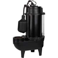 Pompe d'effluent en fonte, 4800 gal./h, 120 V, 7,8 A, 1/2 CV We Share Industrial Supply