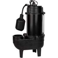 Pompe d'&eacute;gout en fonte, 120 V, 9,5 A, 6000 gal./h, 1/2 CV We Share Industrial Supply