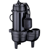 Pompe d'&eacute;gout en fonte, 120 V, 9,5 A, 6000 gal./h, 1/2 CV We Share Industrial Supply