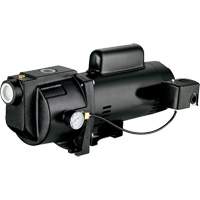 Pompe &agrave; jet en fonte &agrave; double tension pour puit peu profond, 115 V/230 V, 1260 gal./h, 1 CV We Share Industrial Supply