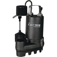 Pompe de puisard submersible en fonte avec interrupteur &agrave; flotteur vertical, 67 gal./min, 33 V, 5 A, 1/3 CV We Share Industrial Supply